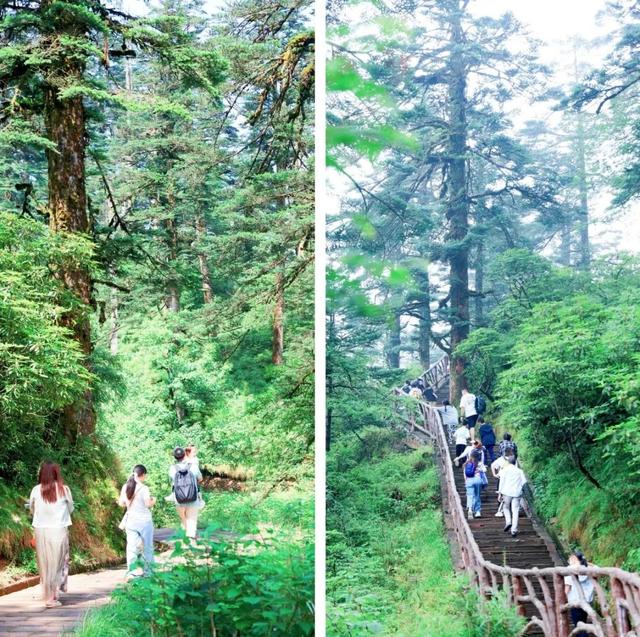 爱了！8月29日至31日，瓦屋山【所有人免门票】 这个七夕在家搂搂抱抱，不如来兰溪绝壁栈道！