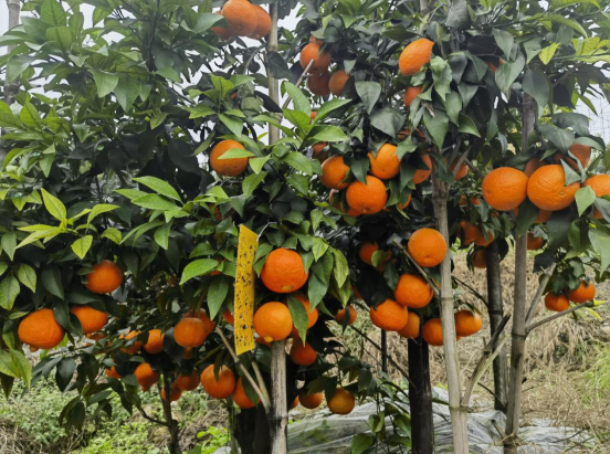 永川“留娃”去处上新→