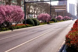 “路”遇花海，来郑州的“特色花路”感受“花漾春天”图片