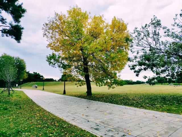 秋日雨后圆明园，安静清幽