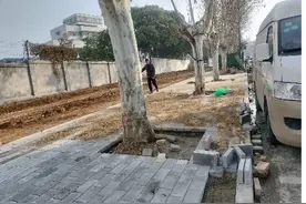 代王街道全面启动2025年重点项目建设图片