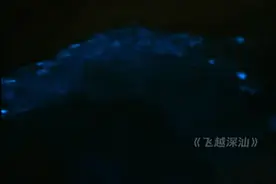 惊艳！深圳一海域爆发“蓝眼泪”！图片