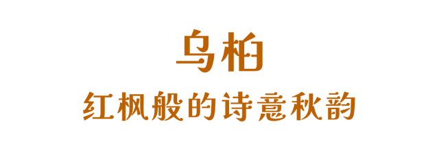 太出片了，南湖的colourful秋天！