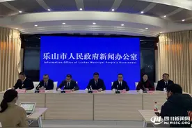 购房购车均有补贴！乐山出台12条措施加力扩围促消费图片