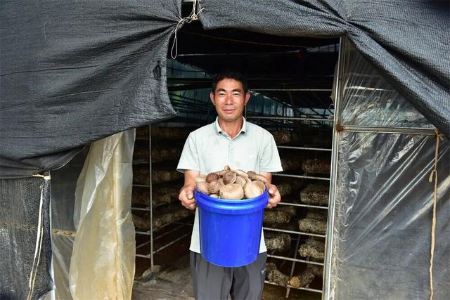 给乡村振兴插上“科技翅膀”！曲靖移动网络质量勇夺全国桂冠