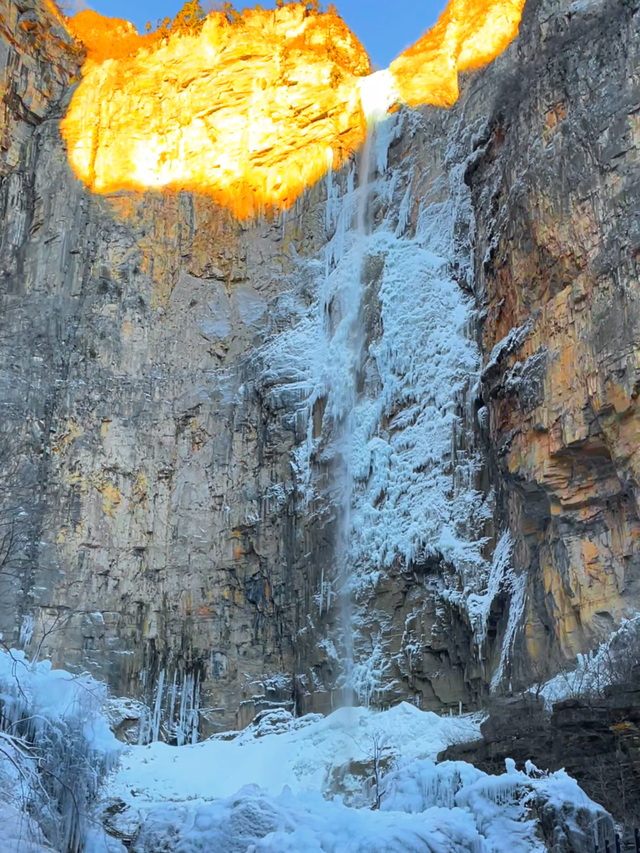 12月1日起，整整三个月！云台山门票半价！