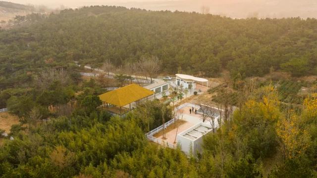 日照一全新打卡地！也太美太治愈了吧！