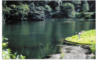 乡村旅居看昆明之三 古莲村 虚室有余闲