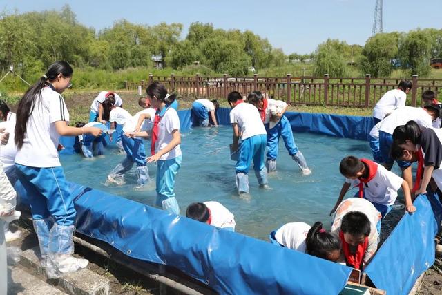 七彩夏日探湿地，开启研学新“湿”篇！