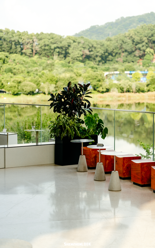 深圳环境五星的「网红公园」，不能再低调了