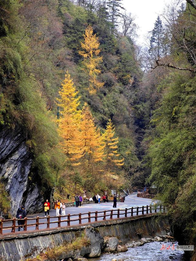 秋染官鹅沟 醉在山水间