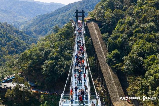 女神优惠盘点！广东“春色满园”！丽人有请