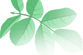 上海高温暴击！明起连续9天超35℃！夏日顶流上线，一口爆汁！手慢无！图片