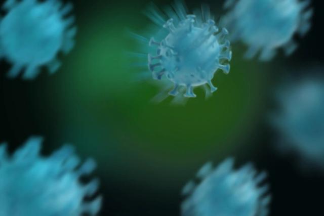 印度暴发疫情！可人传人，死亡率最高达75%，尚无疫苗