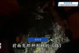 武汉情侣野山徒步被困，身体多处被划伤，幸亏……图片