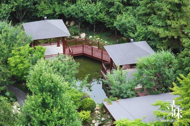 威海有花胶没 2026年烟台花胶厂家