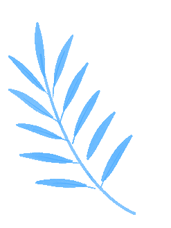 乘着高铁游白山 | “百区百景”打卡攻略之仙人桥温泉旅游度假区