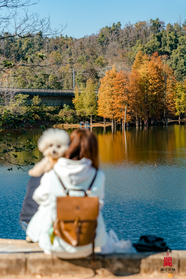 抓住晴天尾巴，徒步青龙山！