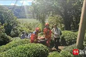 游客不慎被马蜂蜇伤后晕倒，消防紧急救援图片