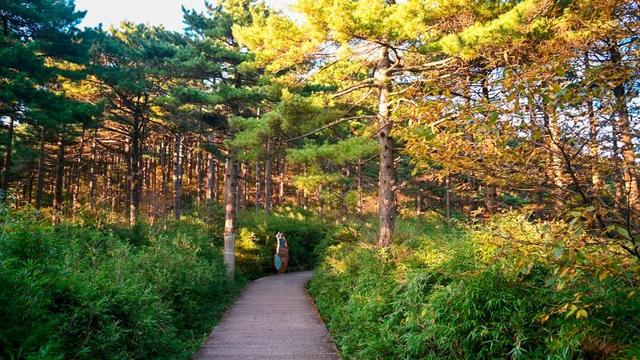 拒绝人挤人！解锁三清山周末“神仙级”游览路线