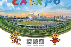 第20届中国—东盟博览会 和合共生建家园 命运与共向未来图片