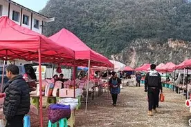 贵州毕节：打通乡村“经脉”绘就美丽“黔”途图片