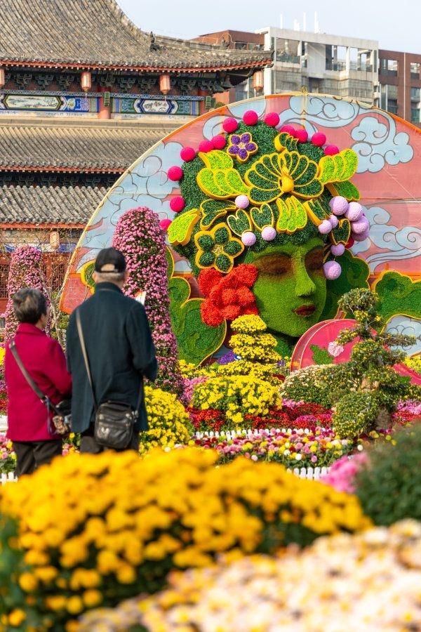 刷屏1个月正式闭幕，武汉金秋菊展留下这些名场面