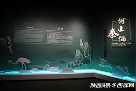 “何止秦俑——秦陵苑囿之K0007陪葬坑”在秦始皇帝陵博物院开展图片