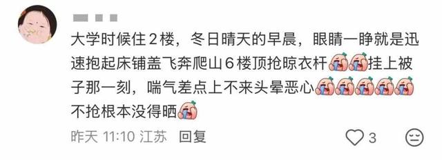 网友分享“伞上晒被”像彩色蘑菇！这份科学晒被攻略请收好