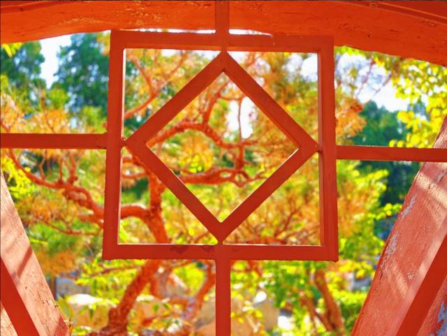 彩林映湖光 泰山虎山公园初冬画卷引客来