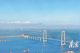 “深圳+中山”模式，如何打开湾区产业协同新格局图片