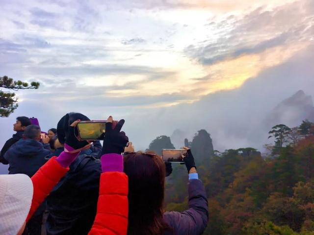 出片率100%！黄山风景区进入最佳赏秋期