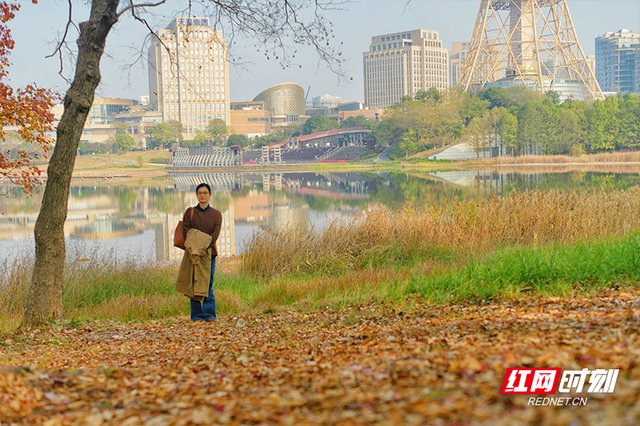 晴暖末班车！株洲神农湖彩叶美景别错过