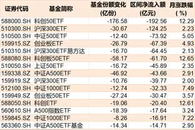 基民傻眼了！刚有点行情，机构就玩高抛，2月逾千亿资金借道ETF落袋为安，但这些题材正被疯狂扫货图片