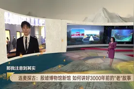 打开三千年前商朝甲骨文版“王子日记”图片