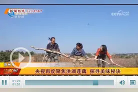 央视聚焦洪湖莲藕 探寻美味秘诀图片