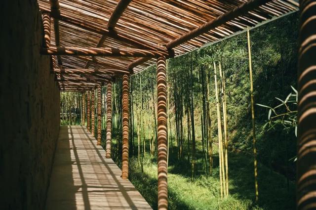 安纳班纳·泰宁 | 在时间的褶皱里，呼吸一场丹霞旧梦