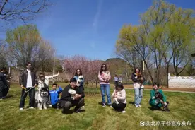 宠物友好！和你家毛孩子来平谷撒欢~图片