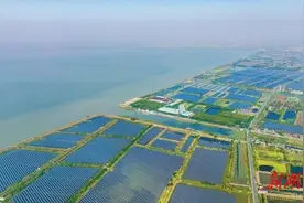 湖南日报|“渔光互补” 生态富民图片