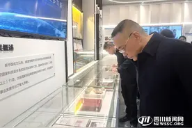 川渝共答“病理诊断”这张试卷 | 聚焦川渝党政联席会议第十次会议图片