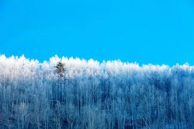 冰雪呼中，是我带不走的眷恋