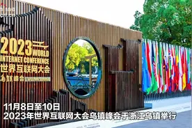 意大利机器人国家能力中心主席：中国在互联网发展领域保持领先地位图片