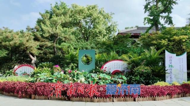 一年四季 泉在济南｜济南第39届荷花艺术节启幕，邀您共赏湖畔荷韵盛宴！