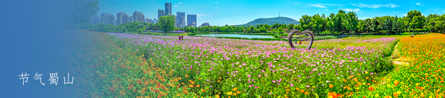 跟着“超级皖”游蜀山 | 蜀山夏夜生活真·太全面了！一起去chill一下吧→
