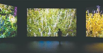 汇聚近120个国家和地区近600件美术作品——走进北京双年展，看见缤纷世界