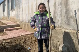 植树｜烟台中小学生习作园地图片
