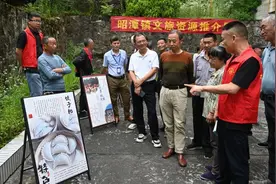 安徽东至：“农文旅”融合发展让小镇富有特色图片