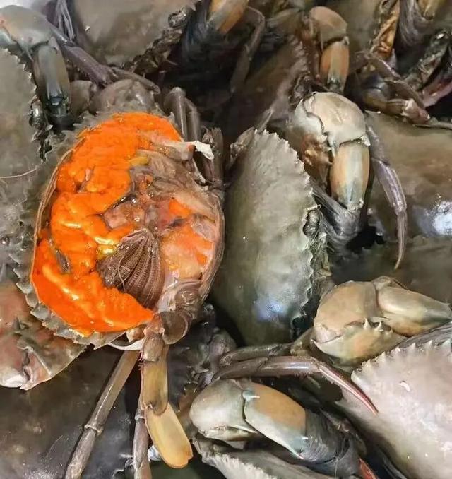 英雄钦州 红色印记｜三条红色旅游线路带你重温峥嵘岁月