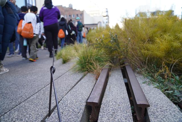 纽约高线公园：废弃铁路成为观光热点