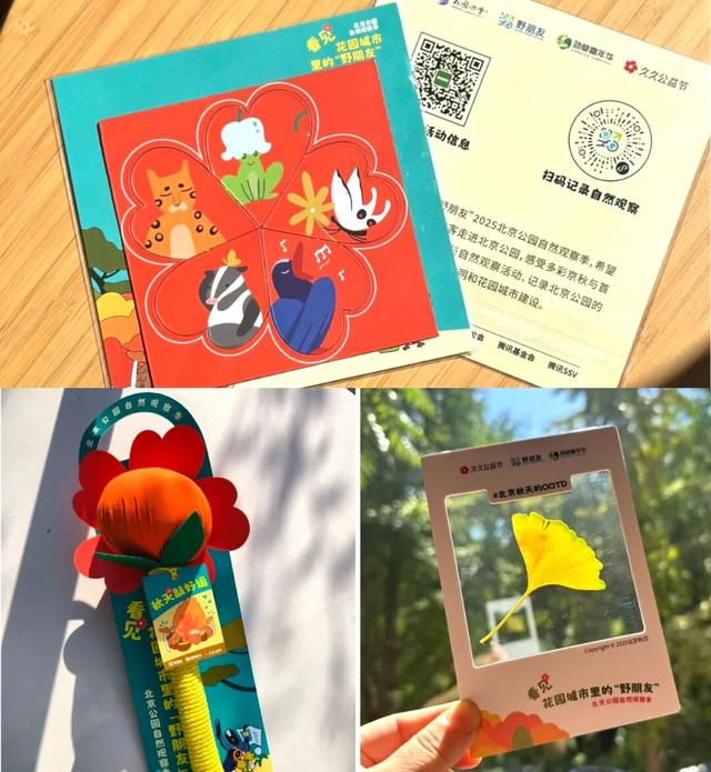 活动报名｜北京公园自然观察季 9.9-9.14多场活动招募